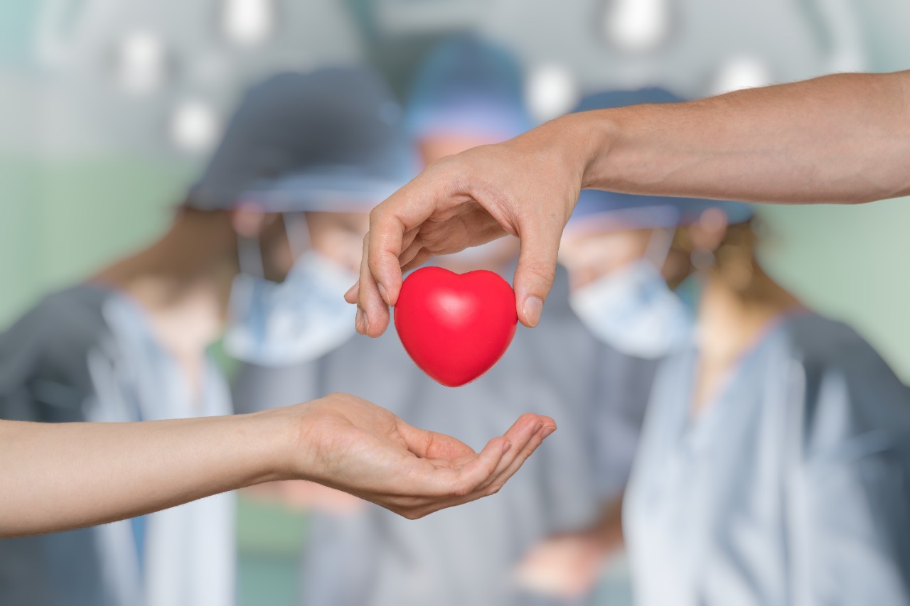 Transplante de órgãos: como funciona, riscos e como ser um doador